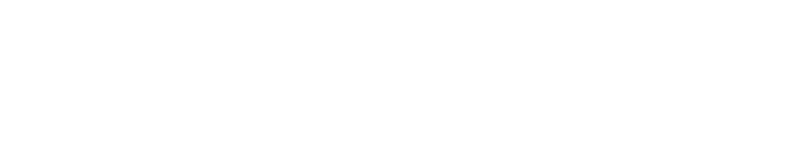 Caponero Marketing logo – Brooklyn-based digital marketing agency for small and large businesses