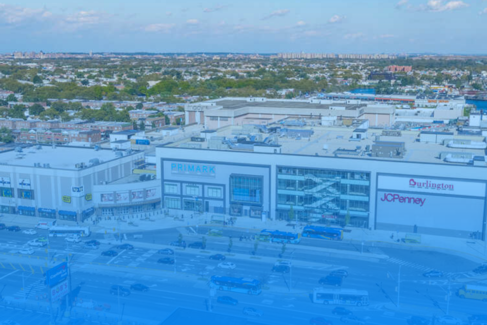 digital marketing in Mill Basin
