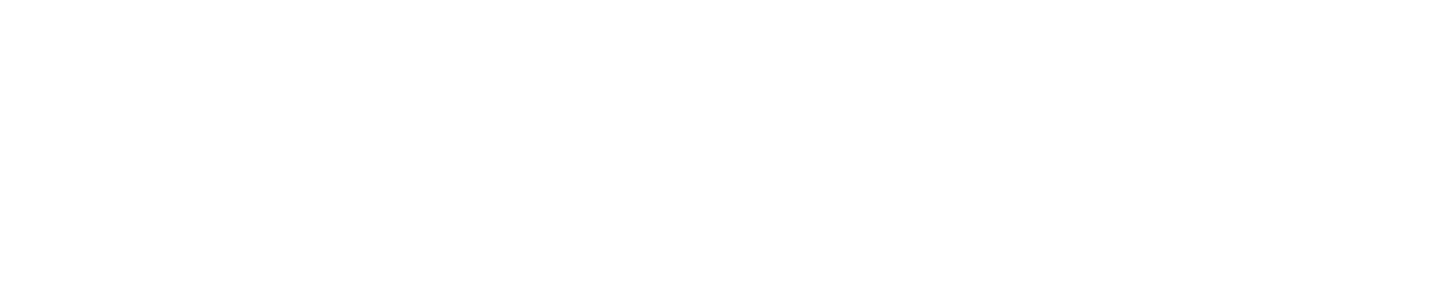 Caponero Marketing logo – Brooklyn-based digital marketing agency for small and large businesses