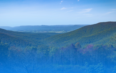 Digital Marketing in Martinsburg WV: Launch Your Success with AI Innovation